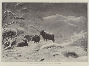 Ben Lawers